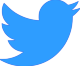 Small twitter logo
